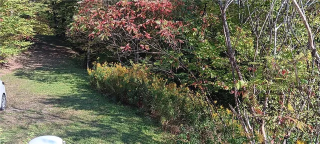 $189,000 | 882 N Road, Blenheim, NY 12093