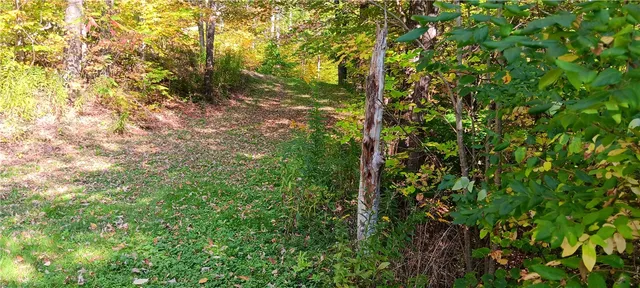 $189,000 | 882 N Road, Blenheim, NY 12093