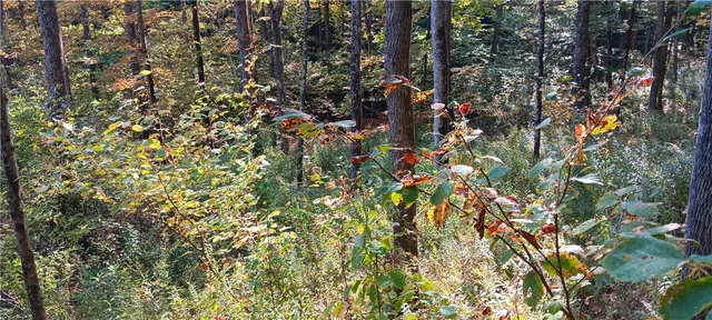 $189,000 | 882 N Road, Blenheim, NY 12093