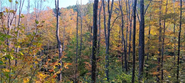 $189,000 | 882 N Road, Blenheim, NY 12093