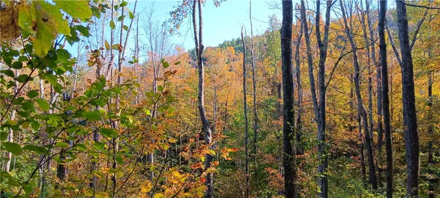 $189,000 | 882 N Road, Blenheim, NY 12093