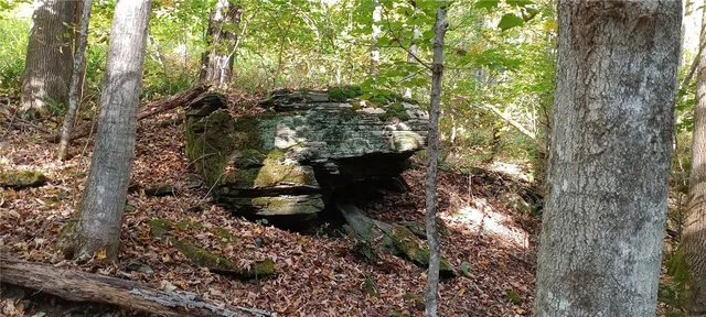 $189,000 | 882 N Road, Blenheim, NY 12093