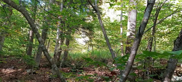 $189,000 | 882 N Road, Blenheim, NY 12093