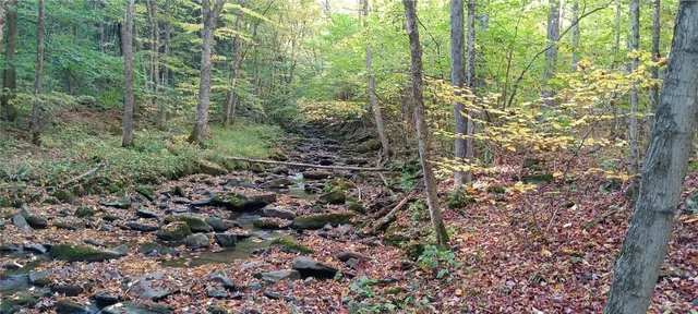 $189,000 | 882 N Road, Blenheim, NY 12093