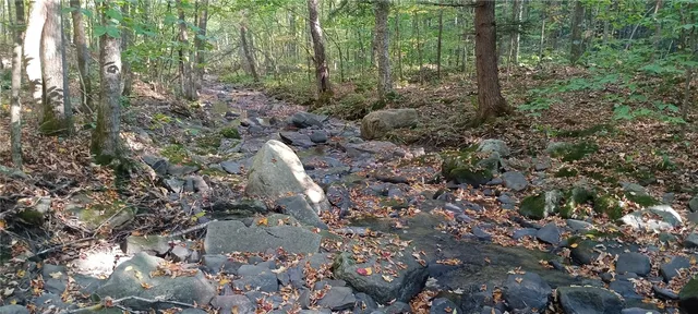 $189,000 | 882 N Road, Blenheim, NY 12093