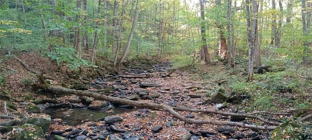 $189,000 | 882 N Road, Blenheim, NY 12093