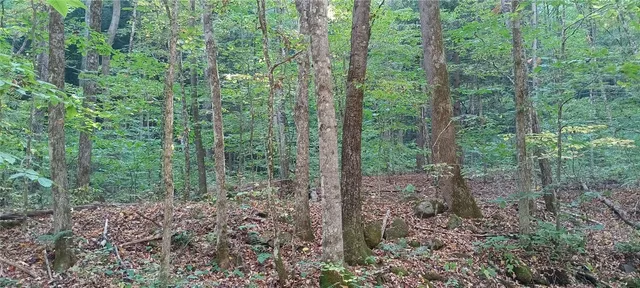 $189,000 | 882 N Road, Blenheim, NY 12093