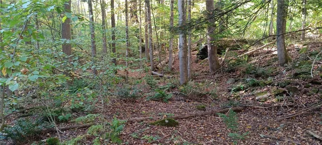 $189,000 | 882 N Road, Blenheim, NY 12093