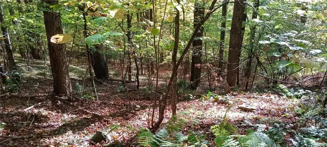 $189,000 | 882 N Road, Blenheim, NY 12093