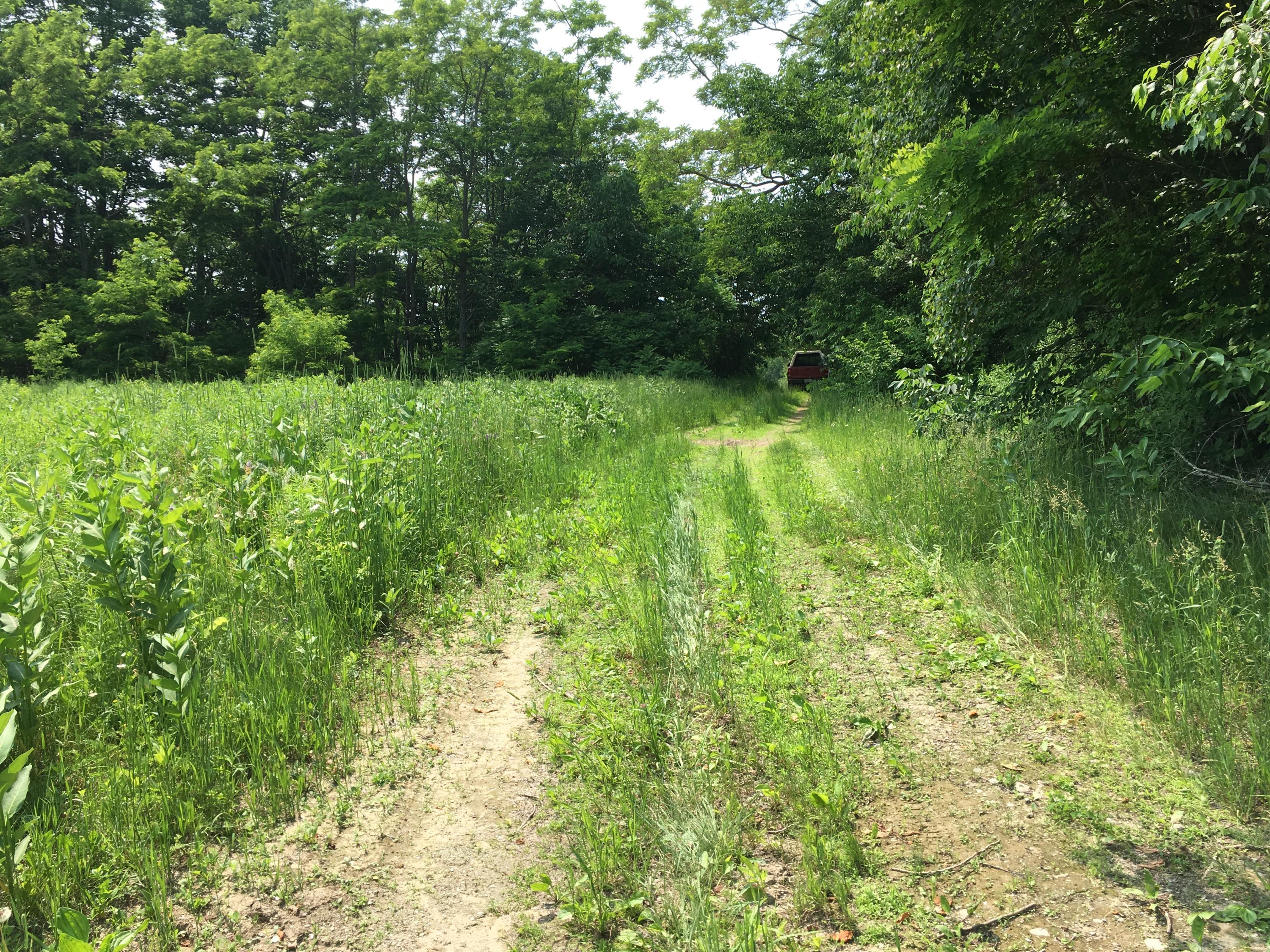 95 North Smith Road Bradford, ME 04410 - Photo 2 of 3 IMG_4231