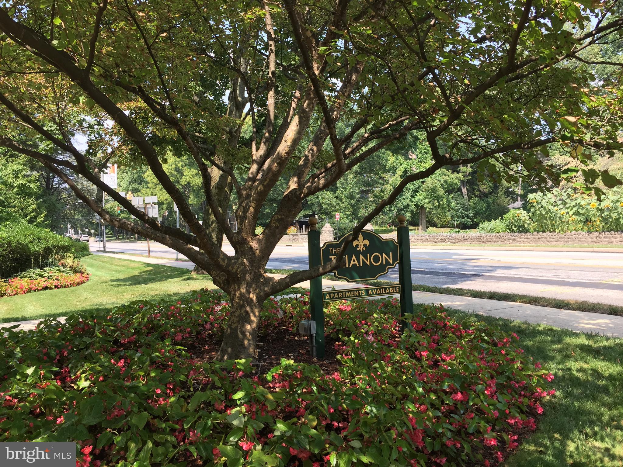 a view of a yard with a tree