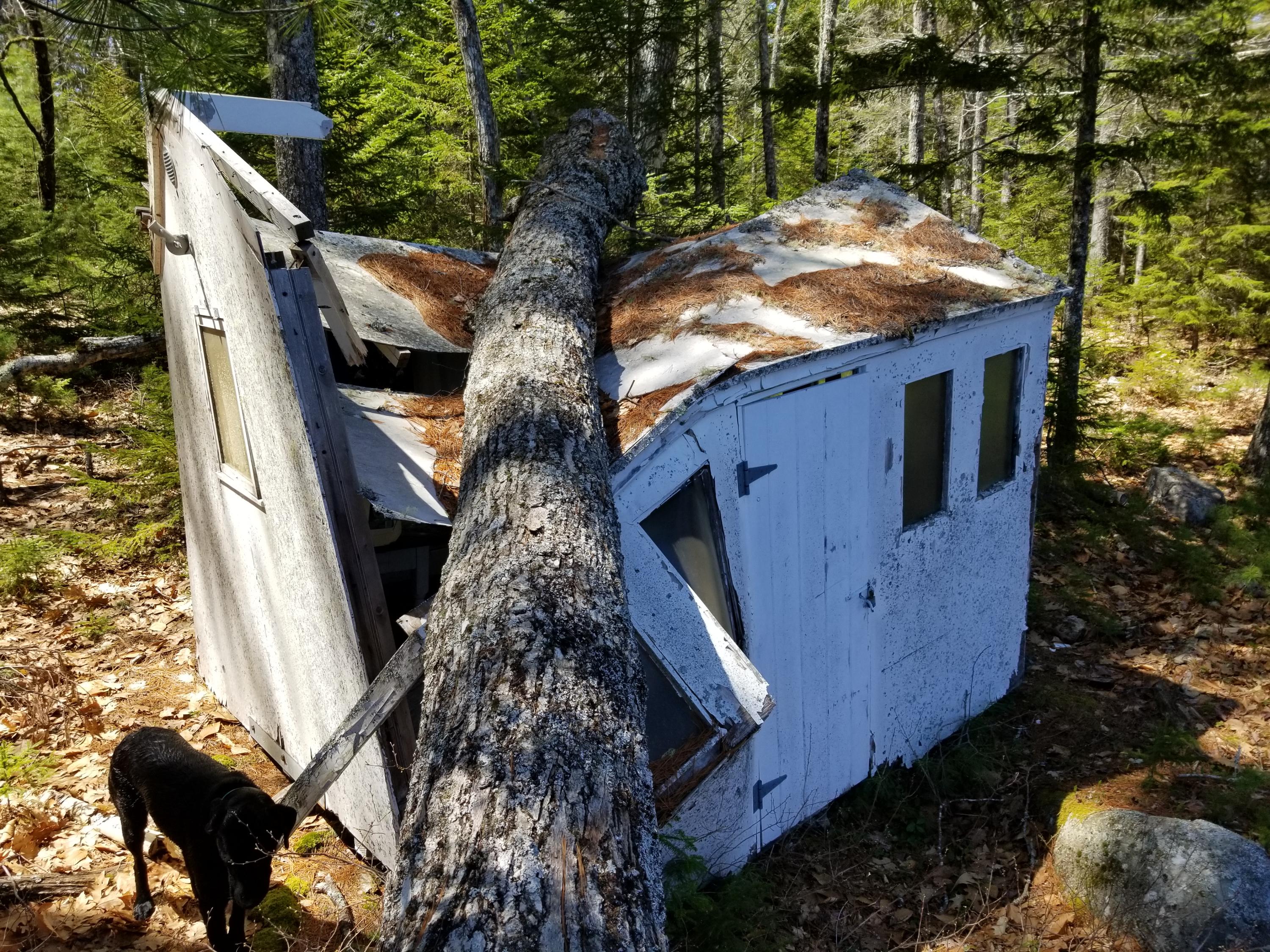 160 Southern Bay Road Penobscot, ME 04476 - Photo 62 of 62 65 second camp
