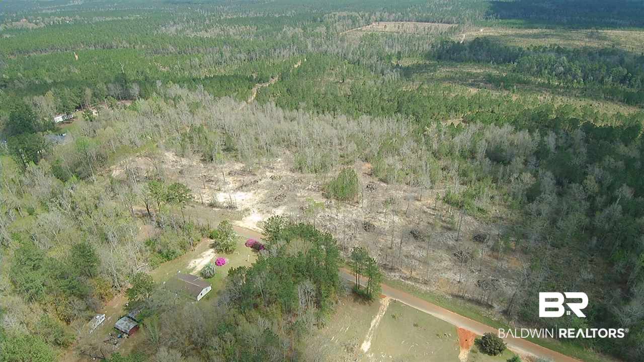 5-6 Dixon Nursery Road Brewton, AL 36426 - Photo 7 of 21