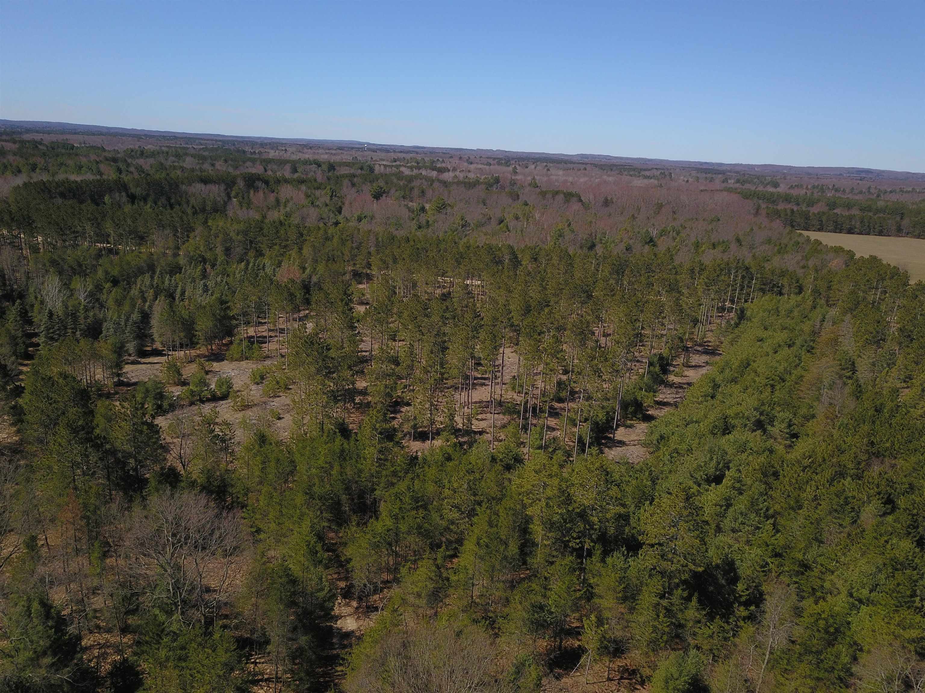9.69-acres Niemi Road Kaleva, MI 49645 - Photo 19 of 30