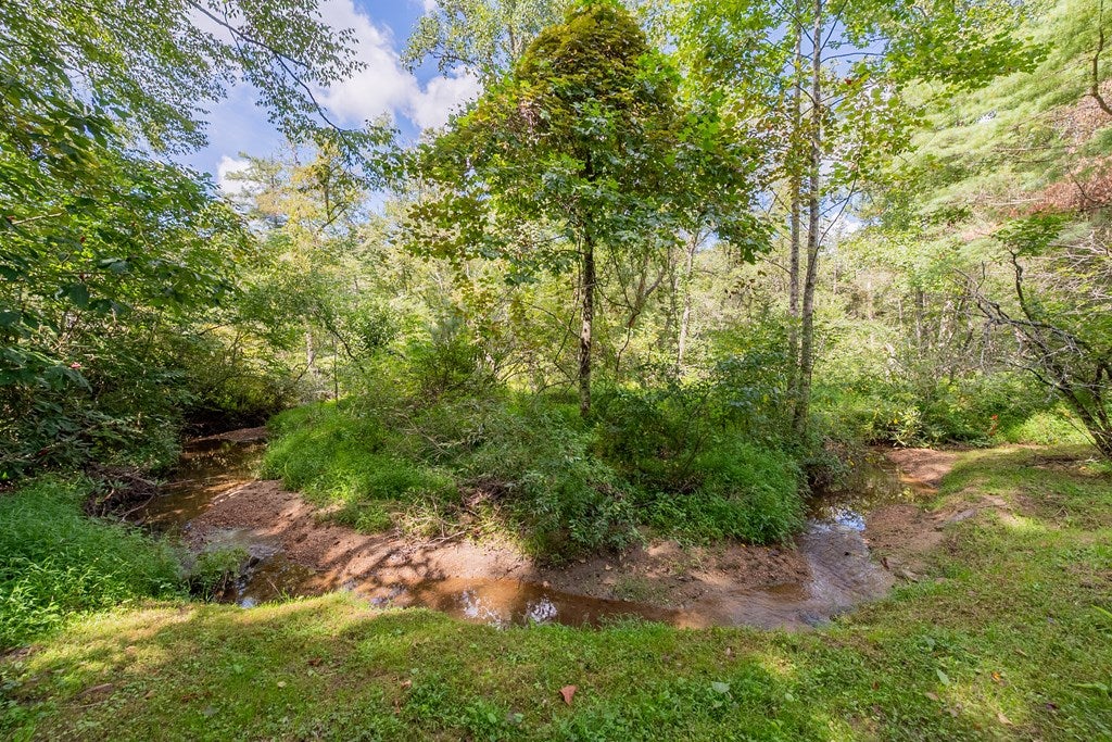 324 Spring Bud Road Fancy Gap, VA 24328 - Photo 71 of 100 Gallery Image 71