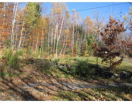 58 Bray Hill Road Phillips, ME 04966 - Photo 8 of 22 Land/Lot.