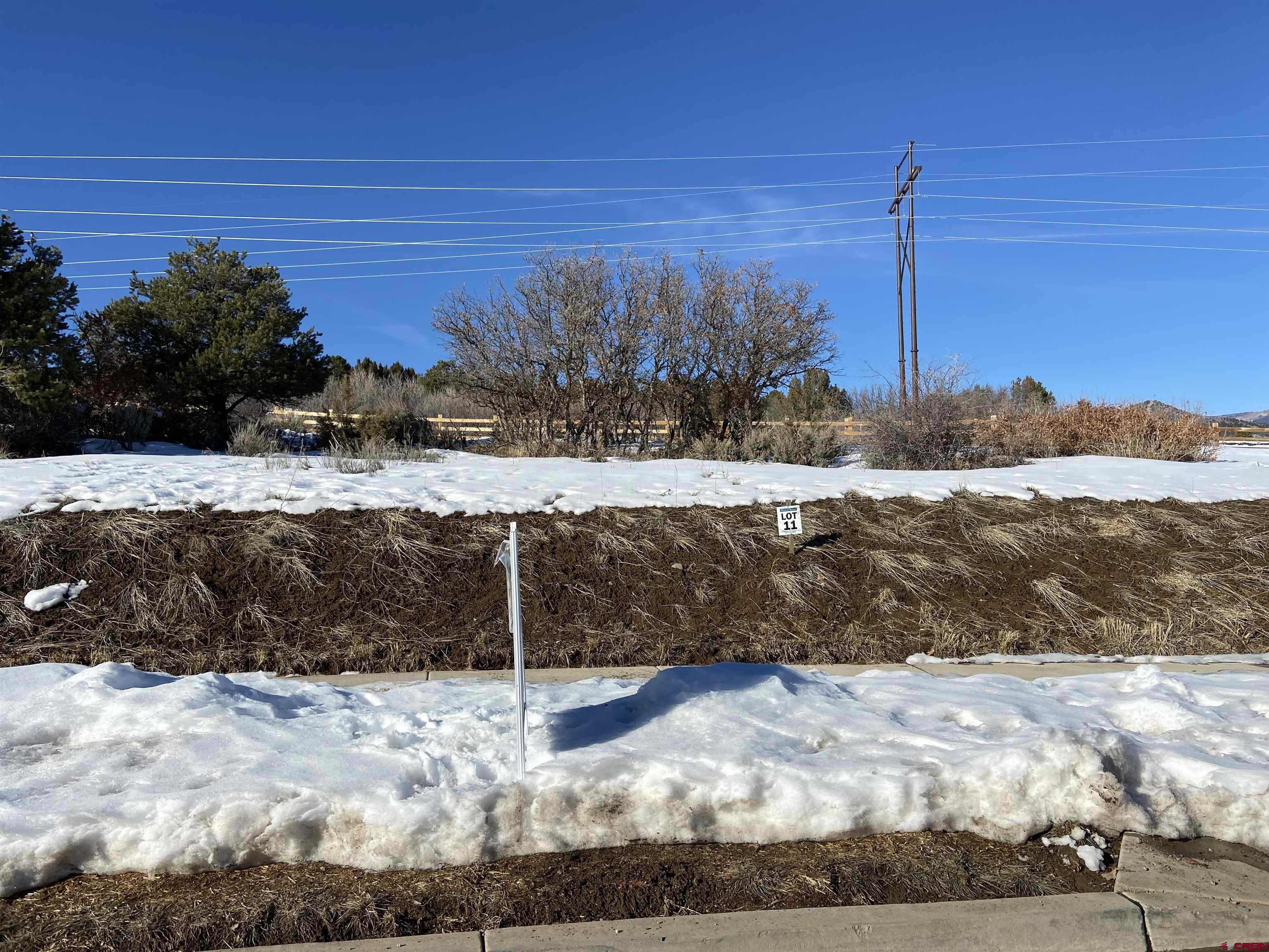 95 Salt Brush Street Durango, CO 81301 - Photo 5 of 8 a view of a yard