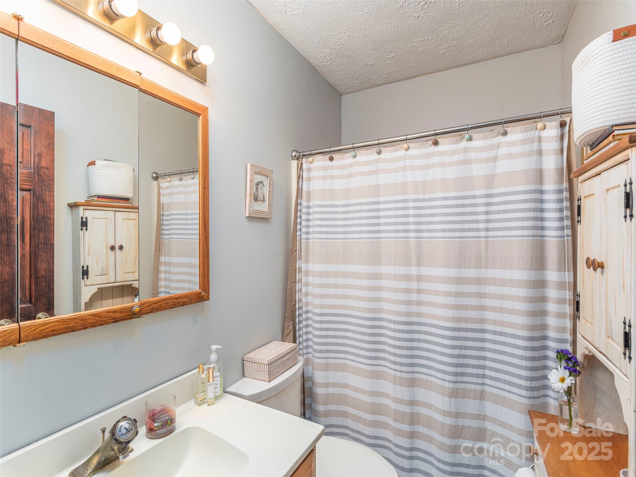 1411 Kitchens Branch Road Sylva, NC 28779 - Photo 18 of 33