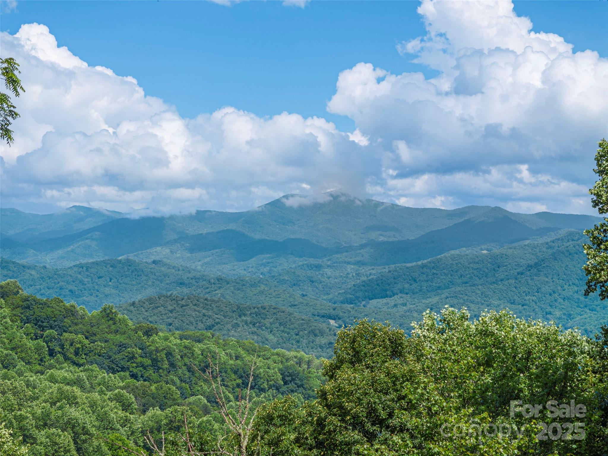 1411 Kitchens Branch Road Sylva, NC 28779 - Photo 8 of 33