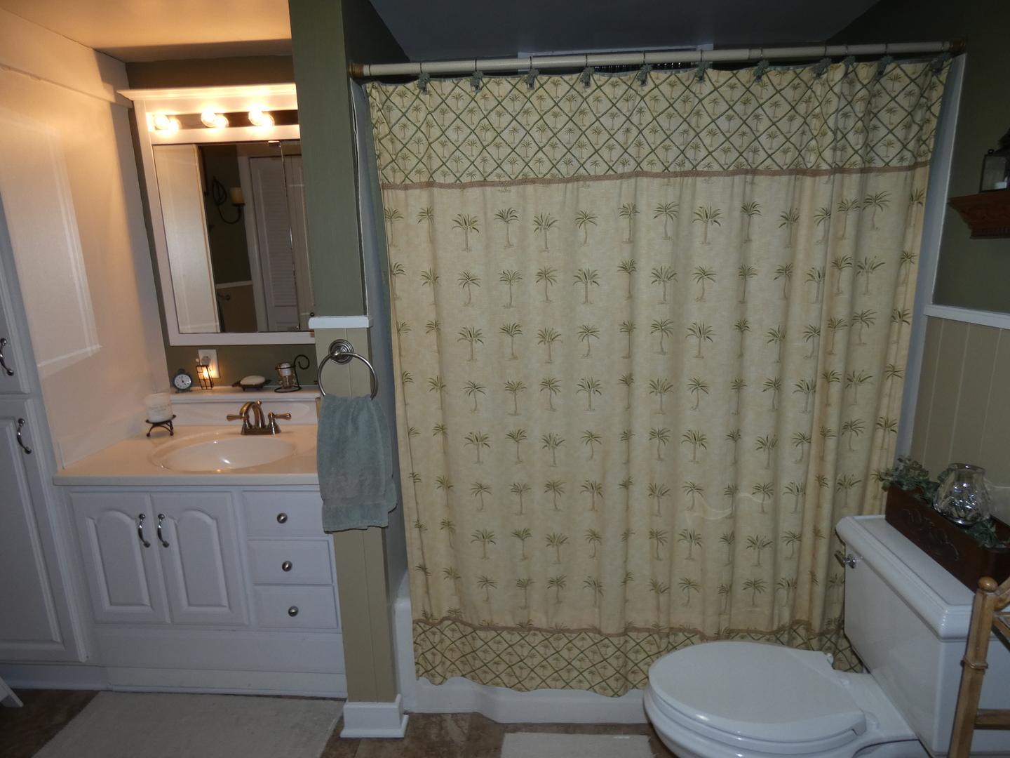 121 Spring Beach Way Cary, IL 60013 - Photo 29 of 38