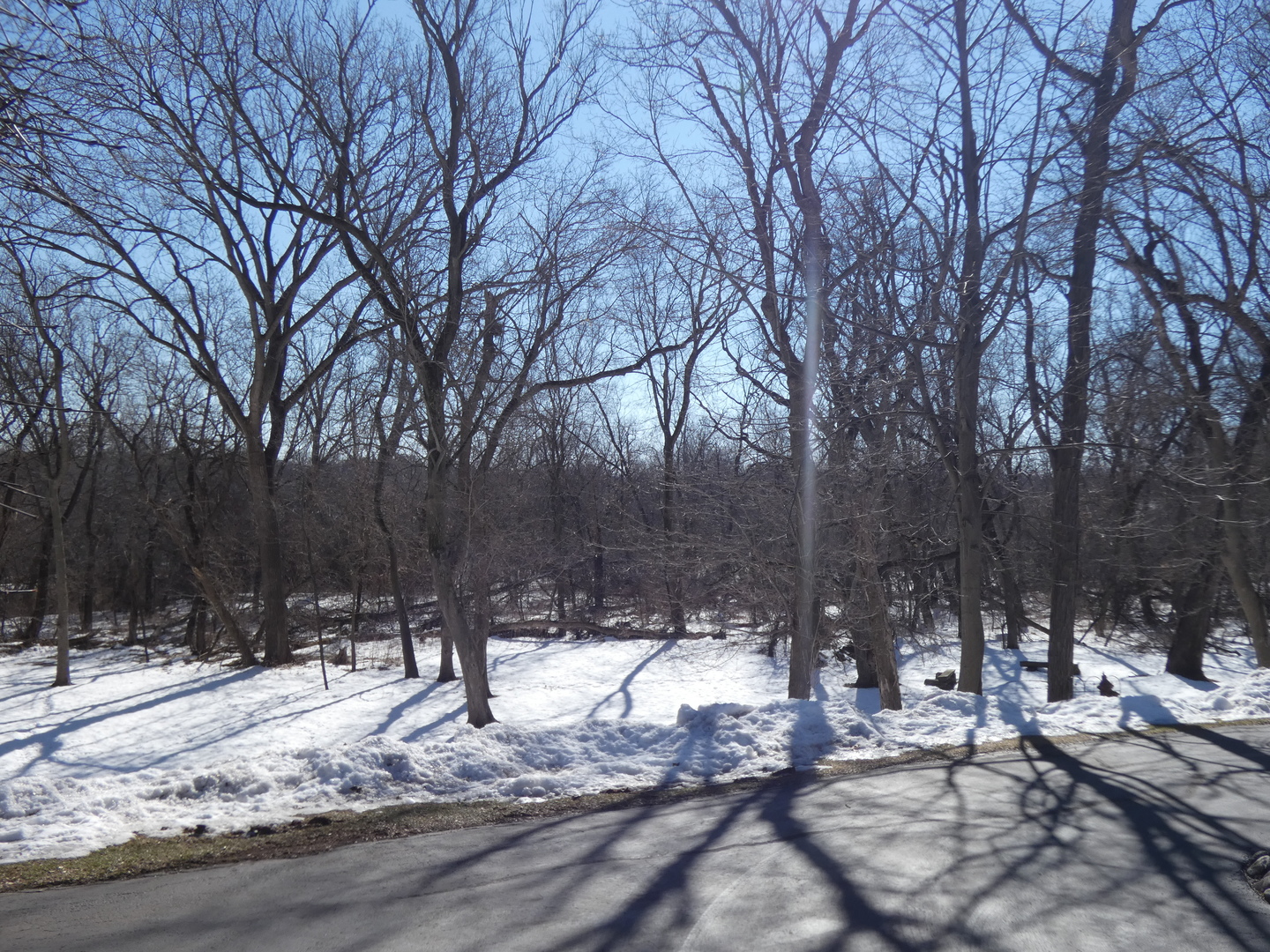 121 Spring Beach Way Cary, IL 60013 - Photo 5 of 38