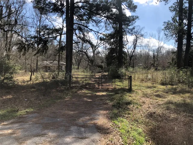 a view of backyard with green space