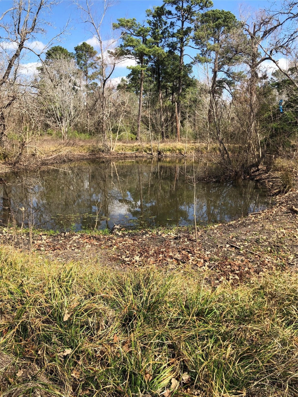 13284 Calhoun Road Conroe, TX 77302 - Photo 11 of 16 a view of a lake view