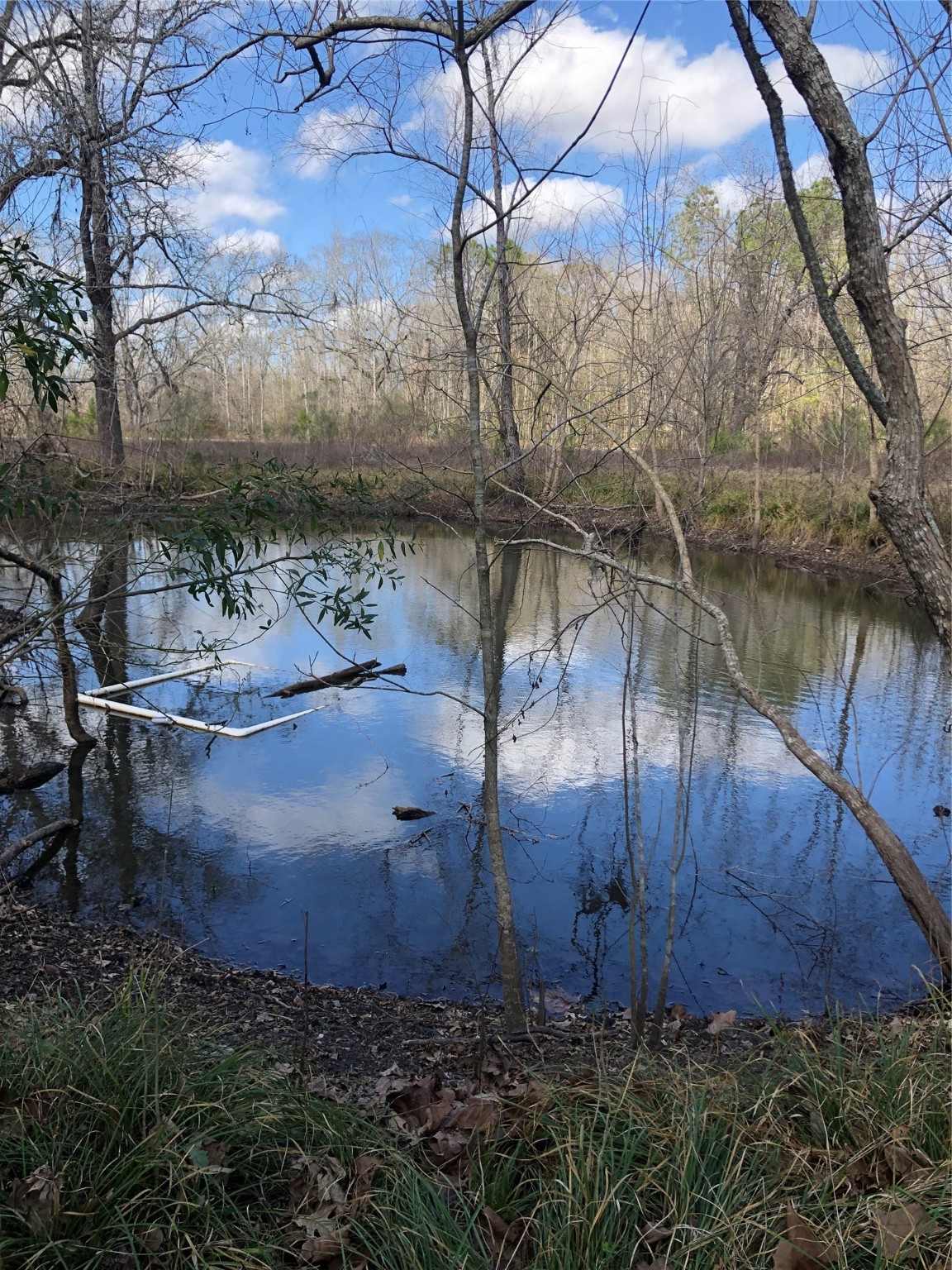 13284 Calhoun Road Conroe, TX 77302 - Photo 13 of 16 a view of a backyard of the house