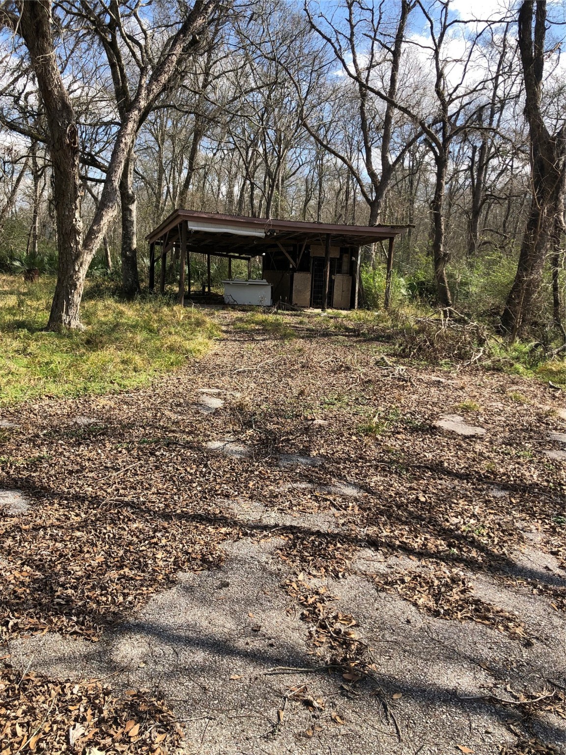 13284 Calhoun Road Conroe, TX 77302 - Photo 15 of 16 a front view of a house with a yard