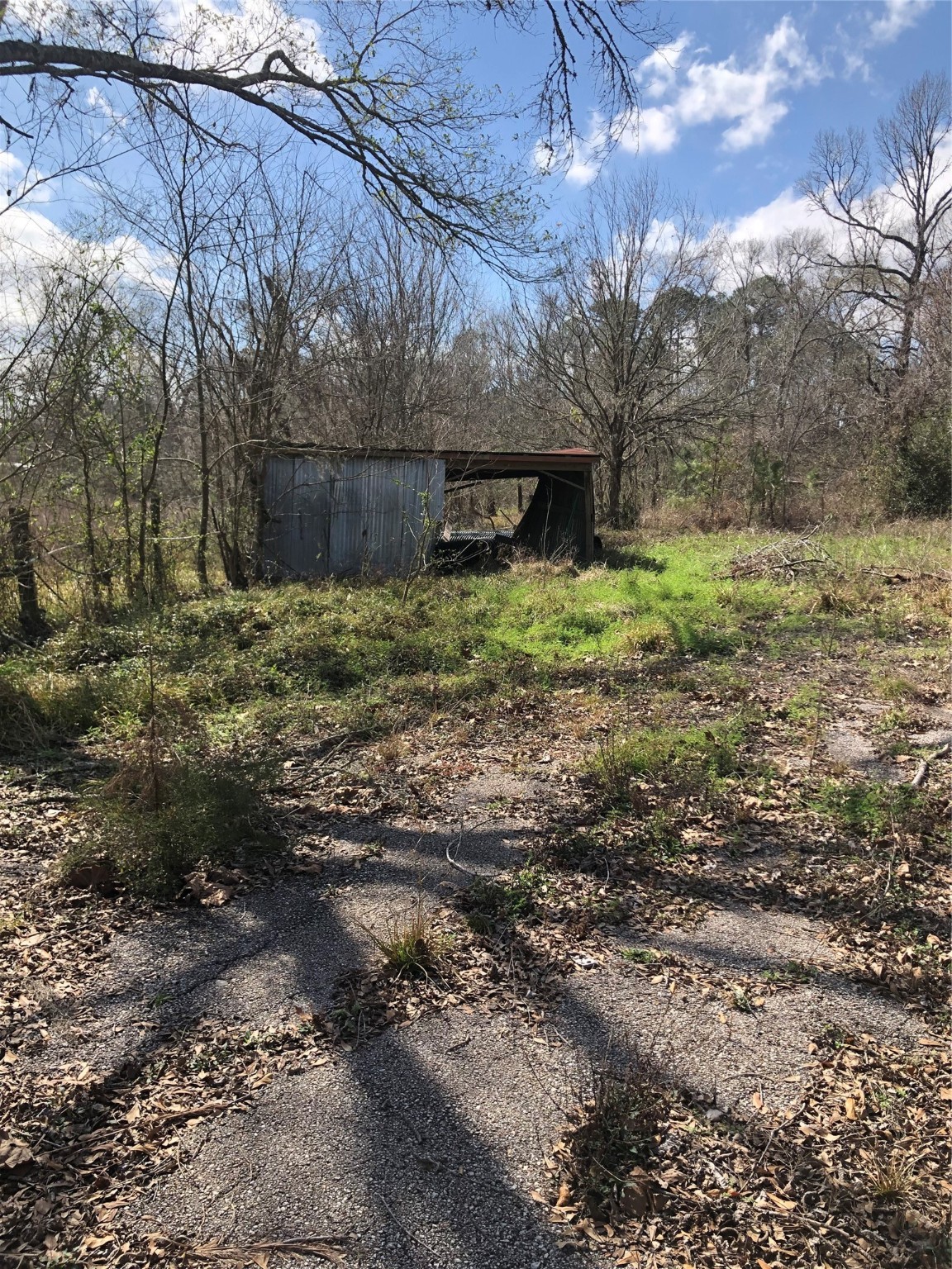 13284 Calhoun Road Conroe, TX 77302 - Photo 16 of 16 a view of a backyard with large trees