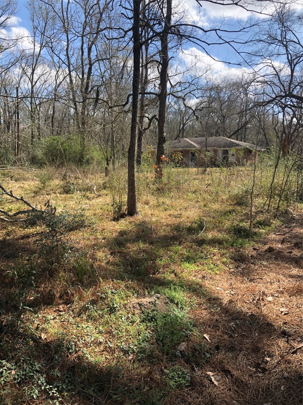 13284 Calhoun Road Conroe, TX 77302 - Photo 5 of 16