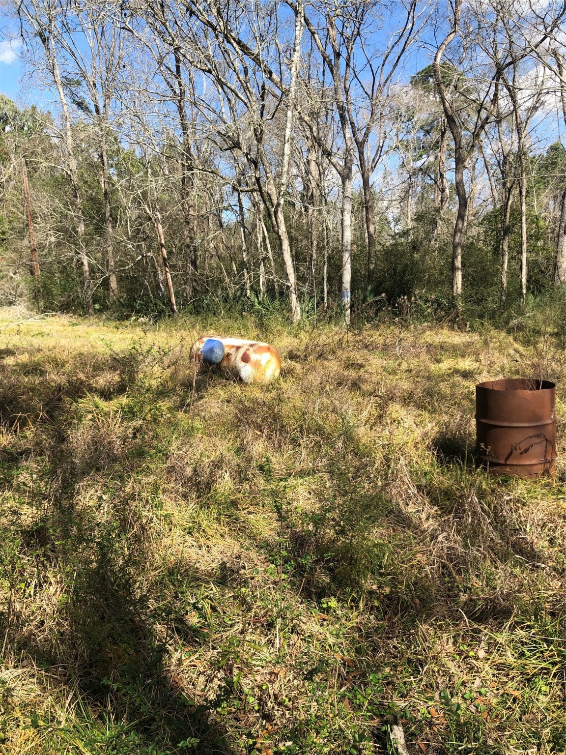 13284 Calhoun Road Conroe, TX 77302 - Photo 6 of 16 a backyard of a house with lots of green space