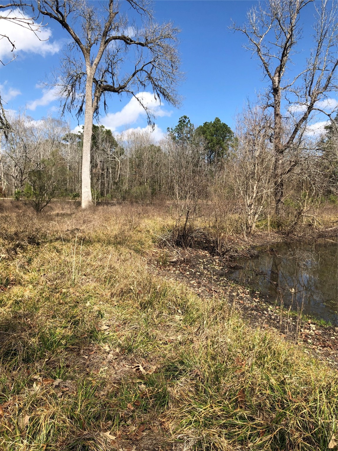 13284 Calhoun Road Conroe, TX 77302 - Photo 10 of 16