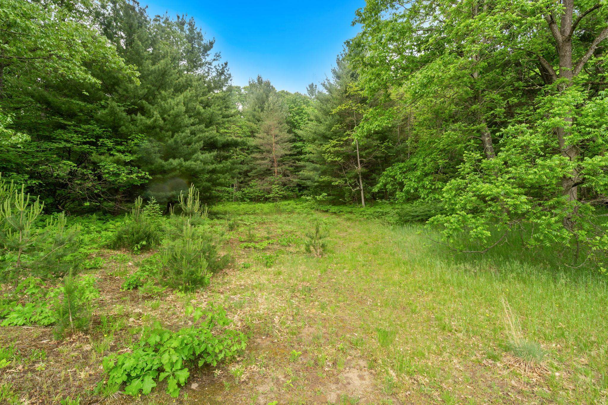 12270 Griffith Road Brethren, MI 49619 - Photo 67 of 67