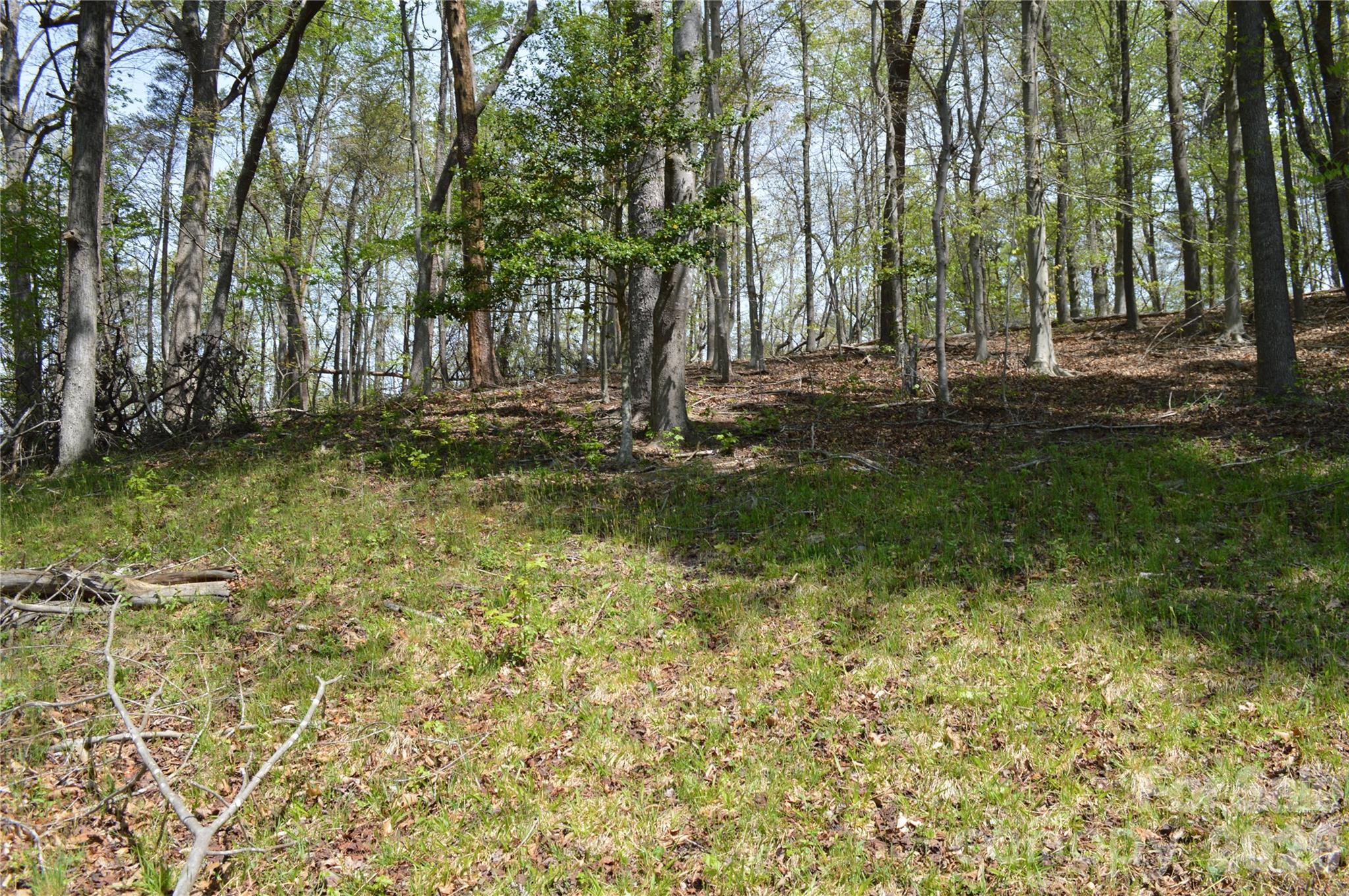 191 Flat Rock Hill Road Tryon, NC 28782 - Photo 8 of 32