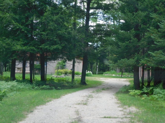 9834 Dutch John Road Fife Lake, MI 49633 - Photo 43 of 43 1878107-42.JPG