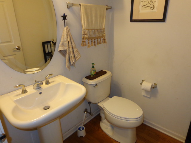 26540 Rustling Birch Way Plainfield, IL 60585 - Photo 12 of 24