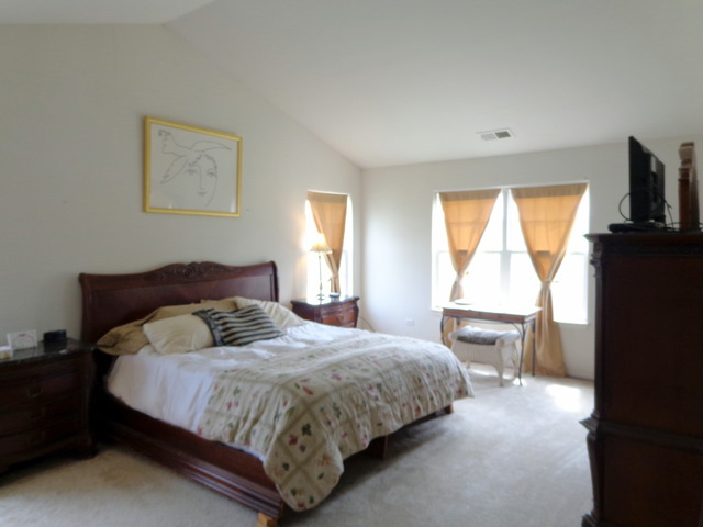 26540 Rustling Birch Way Plainfield, IL 60585 - Photo 13 of 24