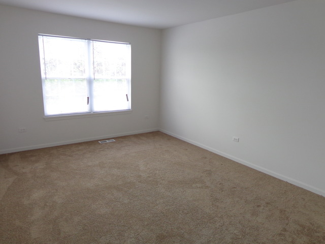 26540 Rustling Birch Way Plainfield, IL 60585 - Photo 16 of 24