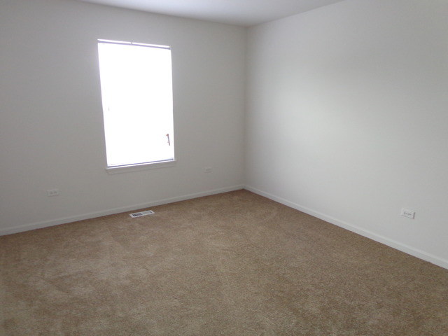 26540 Rustling Birch Way Plainfield, IL 60585 - Photo 17 of 24