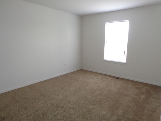 26540 Rustling Birch Way Plainfield, IL 60585 - Photo 18 of 24