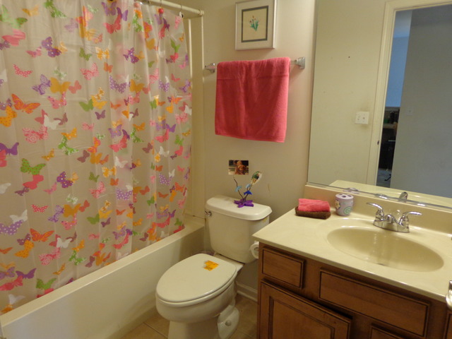26540 Rustling Birch Way Plainfield, IL 60585 - Photo 20 of 24