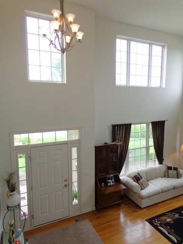 26540 Rustling Birch Way Plainfield, IL 60585 - Photo 3 of 24