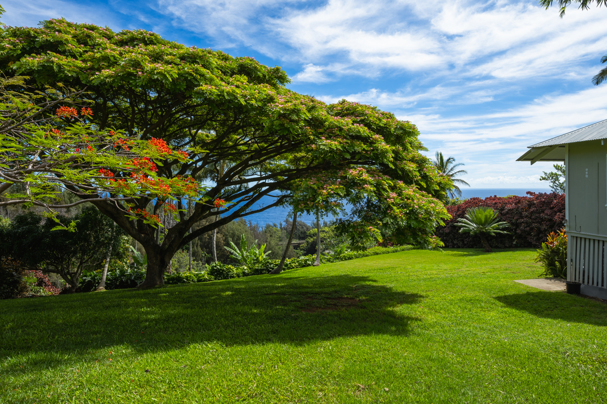 44-641 Hoolauna Loop Honokaa, HI 96727 - Photo 25 of 29