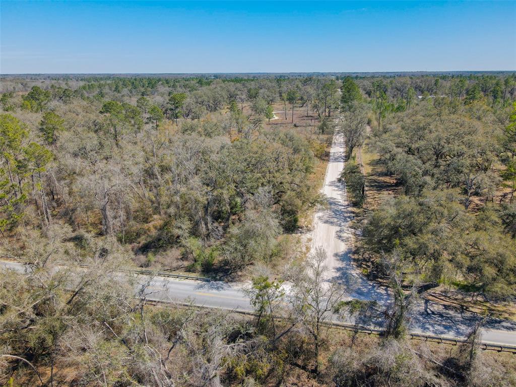3949 184th Street Wellborn, FL 32094 - Photo 16 of 35 a view of yard with outdoor space