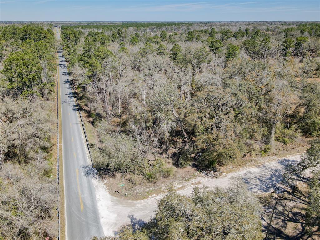 3949 184th Street Wellborn, FL 32094 - Photo 17 of 35 a view of a forest with trees in the background