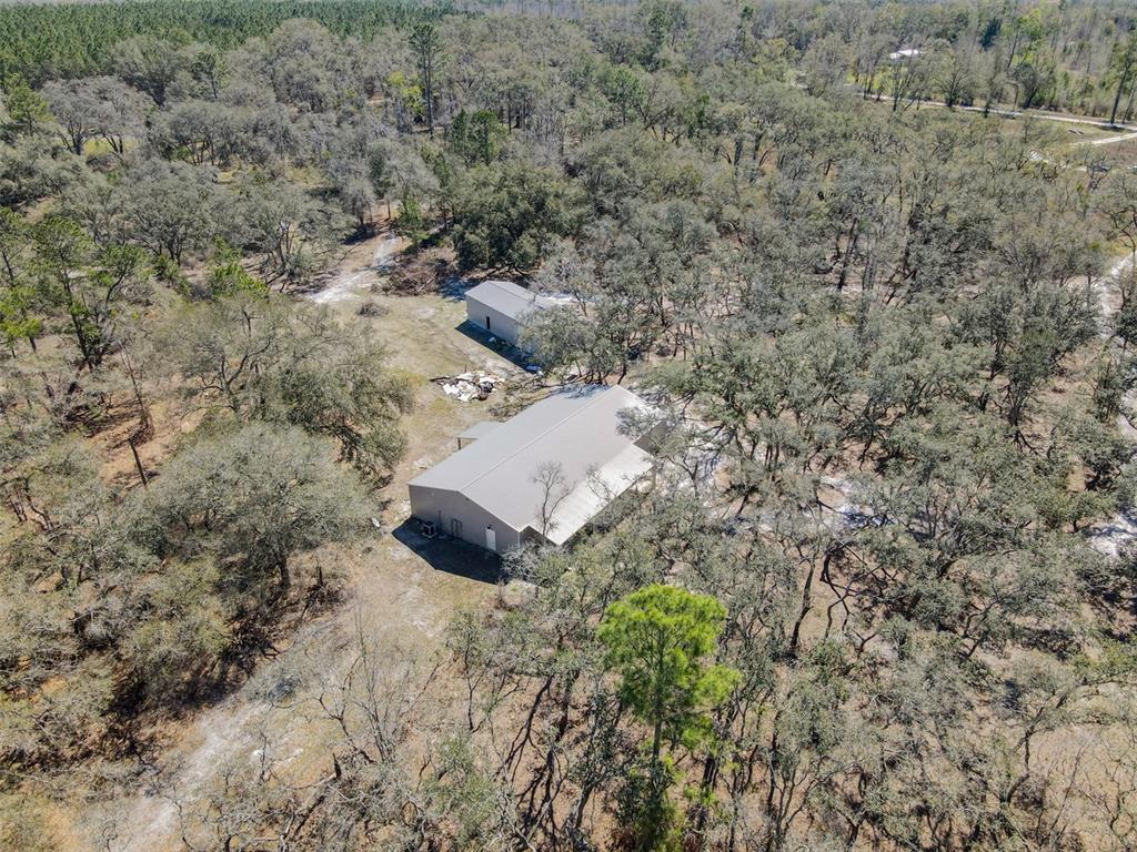 3949 184th Street Wellborn, FL 32094 - Photo 18 of 35 a view of an outdoor space and a yard
