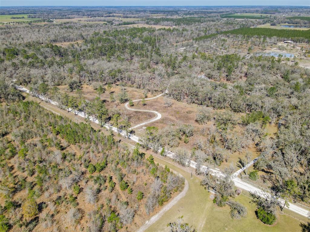 3949 184th Street Wellborn, FL 32094 - Photo 20 of 35 a view of a yard with trees