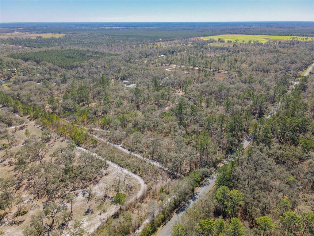 3949 184th Street Wellborn, FL 32094 - Photo 23 of 35 a view of a big yard with lots of bushes