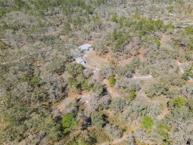 a view of a dry yard with trees